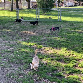 Central Bark Dog Park - Central Bark Dog Park 11/23/19 - Dog Parks Near Me - West Covina, California