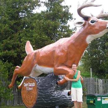Deer Ranch - Amusement Parks Near Me - Saint Ignace, Michigan Deer Ranch - Amusement Parks Near Me - Saint Ignace, Michigan