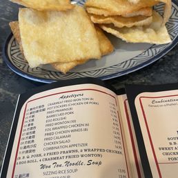 Fried Won Wrapper-horrible!!
