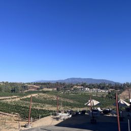 The view from the back of the tasting room.