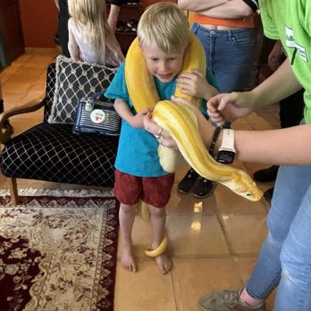 Kids Reptile Parties - Big snake! - Party & Event Planning Near Me Kids Reptile Parties - Big snake! - Party & Event Planning Near Me