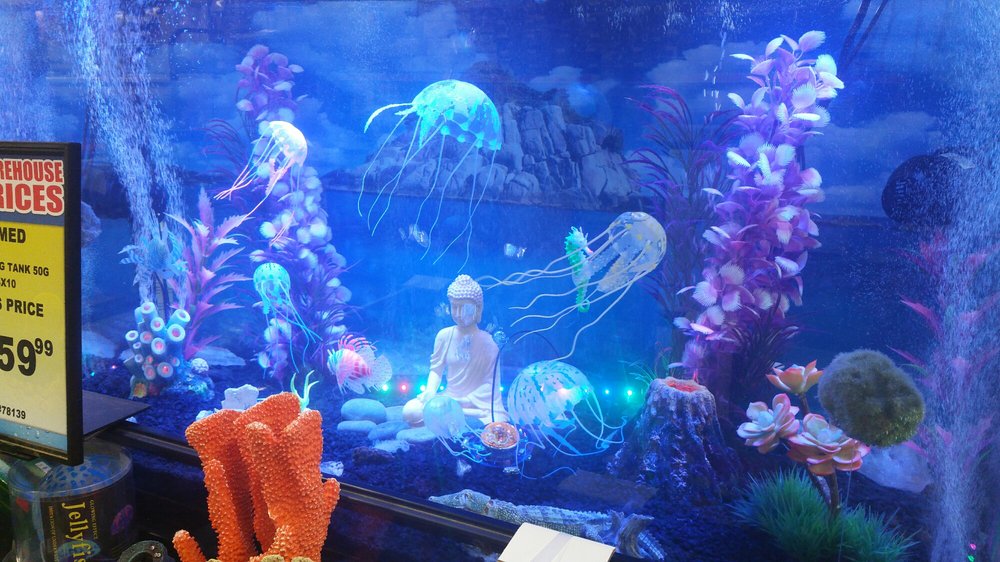 als aquarium