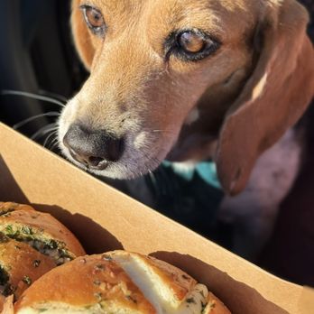 The Buttery - Bakeries Near Me - Fountain Valley, California