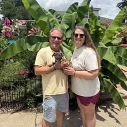 Saving Grace Animals For Adoption - My wife and I bringing our new family member to her forever home.