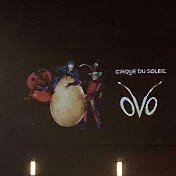 Cirque Du Soleil - OVO - Performing Arts Near Me - Los Angeles, California