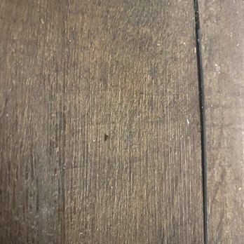 Door To Door Flooring - Floor coming up only 1 month after installation. - Flooring Near Me - Austin, Texas Door To Door Flooring - Floor coming up only 1 month after installation. - Flooring Near Me - Austin, Texas