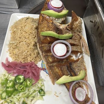 Vida Mariscos - Whole tilaia - Seafood Near Me - Houston, Texas Vida Mariscos - Whole tilaia - Seafood Near Me - Houston, Texas