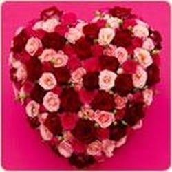 Flower Center