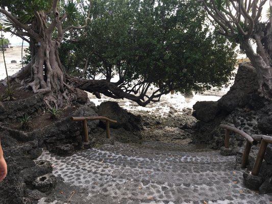 The Blue Orchid Resort by null