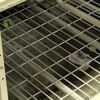 PetSmart - Disgusting under the rack dried smelly water dirt, dog toys, trash, and fur - Pet Training Near Me - East Point, Georgia PetSmart - Disgusting under the rack dried smelly water dirt, dog toys, trash, and fur - Pet Training Near Me - East Point, Georgia