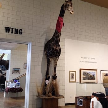 Northeastern Nevada Museum - When was the last time you saw a stuffed giraffe wearing cowboy boots?   Lay in Elko. - Museums Near Me - Elko, Nevada
