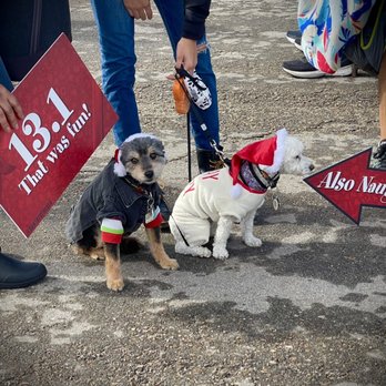 Santa To the Sea Half Marathon - A couple if I'm the furry spectators at this year's event. - Races & Competitions Near Me - Oxnard, California Santa To the Sea Half Marathon - A couple if I'm the furry spectators at this year's event. - Races & Competitions Near Me - Oxnard, California