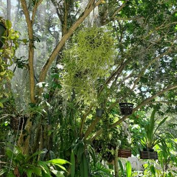 Adler Irrigation - Hang or plant as I high as you like. We can keep you covered. - Irrigation Near Me Adler Irrigation - Hang or plant as I high as you like. We can keep you covered. - Irrigation Near Me