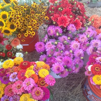 KC Flowers - Florists Near Me - Galt, California KC Flowers - Florists Near Me - Galt, California