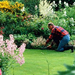 Dig-It Landscaping - Landscape design Services