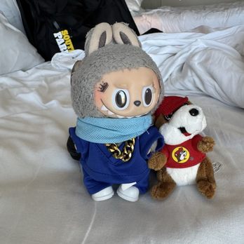Fairmont Dallas - My travel companion has a new friend - Hotels Near Me - Dallas, Texas