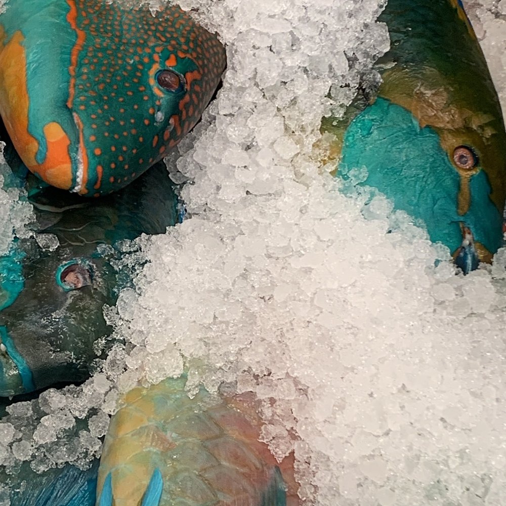 88 Ranch Market - fresh PARROT fish - Seafood Markets Near Me - Oceanside, California