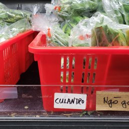 I have been looking for culantro for years!!! I have been looking for culantro for years!!!