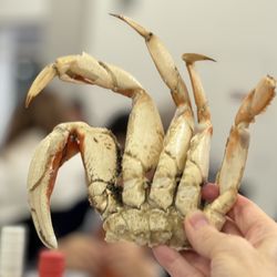 San Ramon Community Center - Annual Crab Feed - crab!