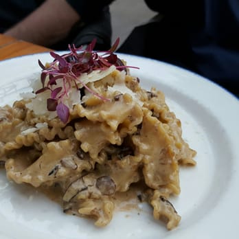Gusto 101 - Mushroom Pasta (Mafaldi Ai Funghi) - Italian Near Me - Toronto, Ontario Gusto 101 - Mushroom Pasta (Mafaldi Ai Funghi) - Italian Near Me - Toronto, Ontario
