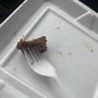 Photo of Great Wall Chinese Restaurant