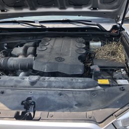 2013 4Runner