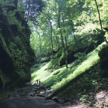 Turkey Run State Park - Parks Near Me - Marshall, Indiana Turkey Run State Park - Parks Near Me - Marshall, Indiana