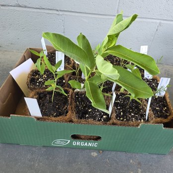 Rust Belt Natives - My stash of great finds - Nurseries & Gardening Near Me
