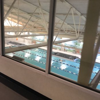 Taylor Bend Family YMCA - Pool area from the upstairs track... - Gyms Near Me - Chesapeake, Virginia Taylor Bend Family YMCA - Pool area from the upstairs track... - Gyms Near Me - Chesapeake, Virginia