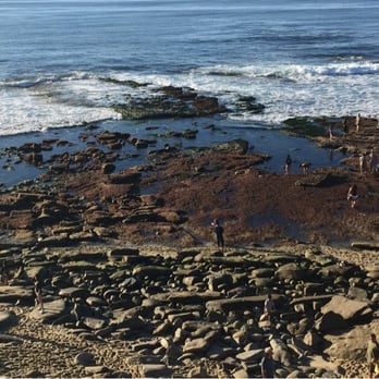 La Jolla Cove - The cove at low tide. - Parks Near Me - La Jolla, California La Jolla Cove - The cove at low tide. - Parks Near Me - La Jolla, California