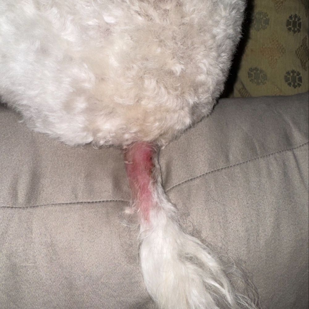 My baby April. . Poor thing she's still very scared