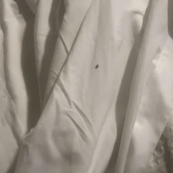 Bahia Resort Hotel - Bed bugs found in room 123, bayfront room that cost is $1,000 a night, manager on shit could not care less - San Diego, CA