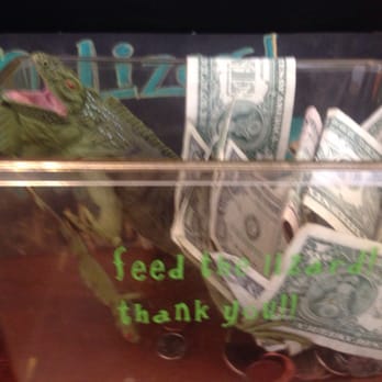 Green Lizard Cycling - feed the lizard! - Coffee & Tea Near Me - Herndon, Virginia Green Lizard Cycling - feed the lizard! - Coffee & Tea Near Me - Herndon, Virginia