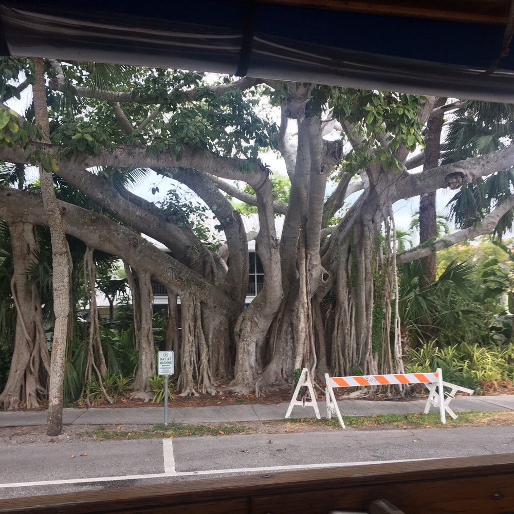 Naples Trolley Tours - Tours Near Me - Naples, Florida Naples Trolley Tours - Tours Near Me - Naples, Florida