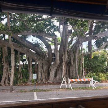 Naples Trolley Tours - Tours Near Me - Naples, Florida