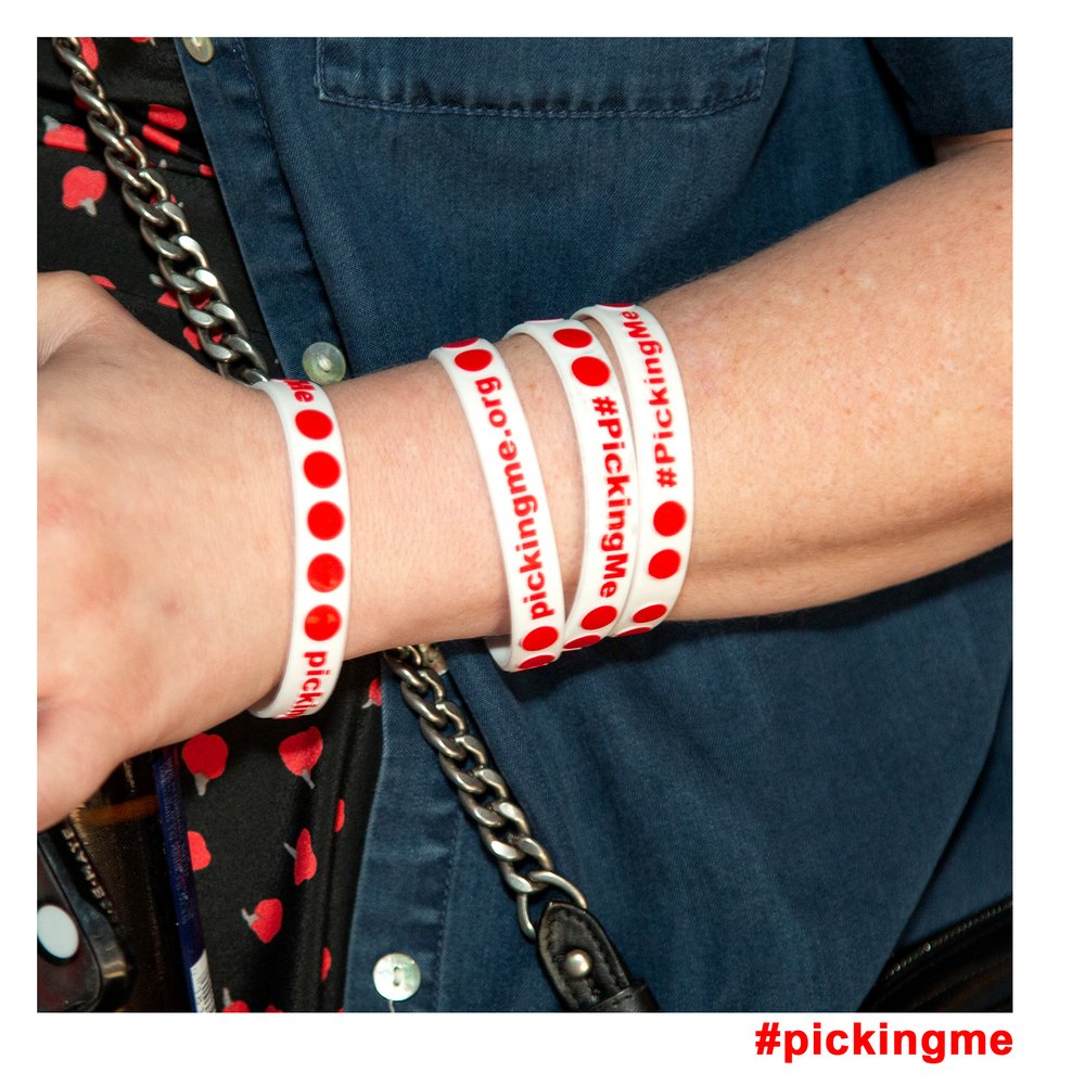 Picking Me Foundation NFP - social services organization in Chicago, IL