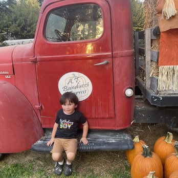 Banducci's Family Pumpkin Patch - Cute Red Truck for Photos! - Pumpkin Patches Near Me - Bakersfield, California Banducci's Family Pumpkin Patch - Cute Red Truck for Photos! - Pumpkin Patches Near Me - Bakersfield, California