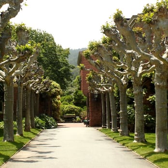 Filoli - Botanical Gardens Near Me - Woodside, California Filoli - Botanical Gardens Near Me - Woodside, California
