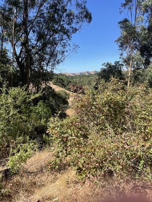 Westwood Hills Park by null