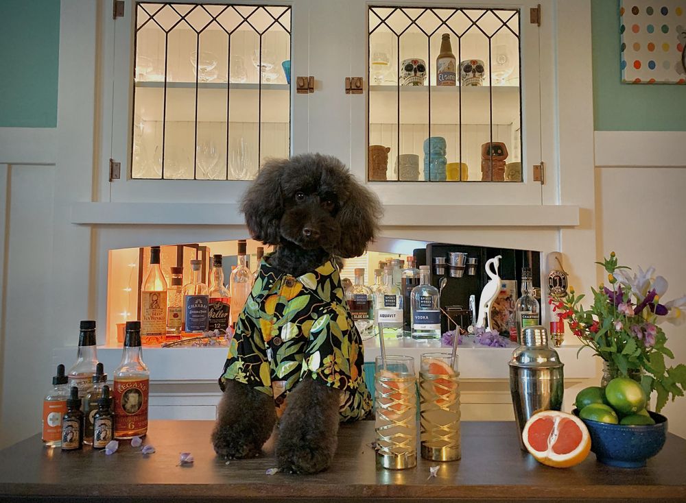 THE BARK SIDE Updated June 2024 44 Photos & 41 Reviews 1040 N