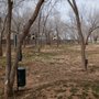 Andrews Dog Park