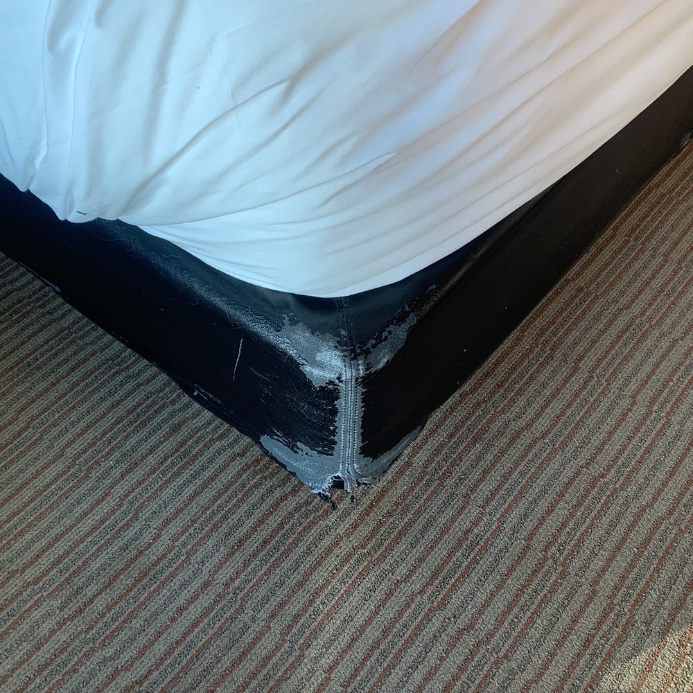 Tattered chewed up bed frame. Most furniture was like this. Tattered chewed up bed frame. Most furniture was like this.