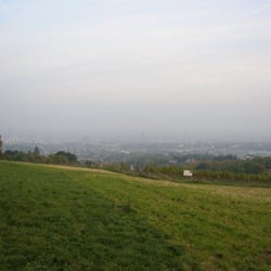Bellevue Wiese