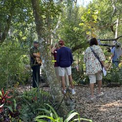 Nehrling Gardens - Music along the path during Stepping into Spring at Nehrling Gardens.