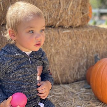 Viola's Flower Garden - My guy experiencing his first patch (with a dog ball ) - Nurseries & Gardening Near Me - Flagstaff, Arizona Viola's Flower Garden - My guy experiencing his first patch (with a dog ball ) - Nurseries & Gardening Near Me - Flagstaff, Arizona