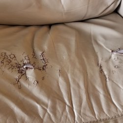 La-Z-Boy Furniture Galleries - Leather is crap. This is less than 4 years old.