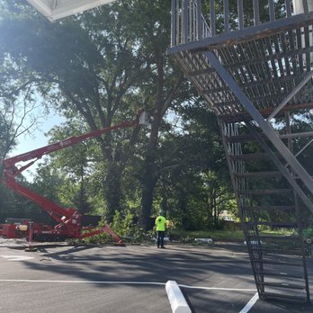 Greenville Tree - Using the lift - Tree Services Near Me - Greenville, South Carolina Greenville Tree - Using the lift - Tree Services Near Me - Greenville, South Carolina