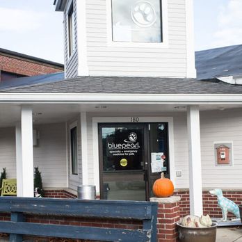 BluePearl Pet Hospital - Veterinarians Near Me - Framingham, Massachusetts BluePearl Pet Hospital - Veterinarians Near Me - Framingham, Massachusetts