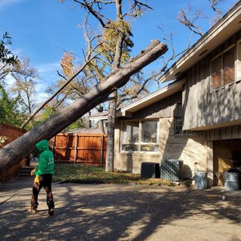 Alexander's Curb Appeal - Tree Removal
Removal of fallen tree by tornado
#treeservices - Landscaping Near Me Alexander's Curb Appeal - Tree Removal
Removal of fallen tree by tornado
#treeservices - Landscaping Near Me