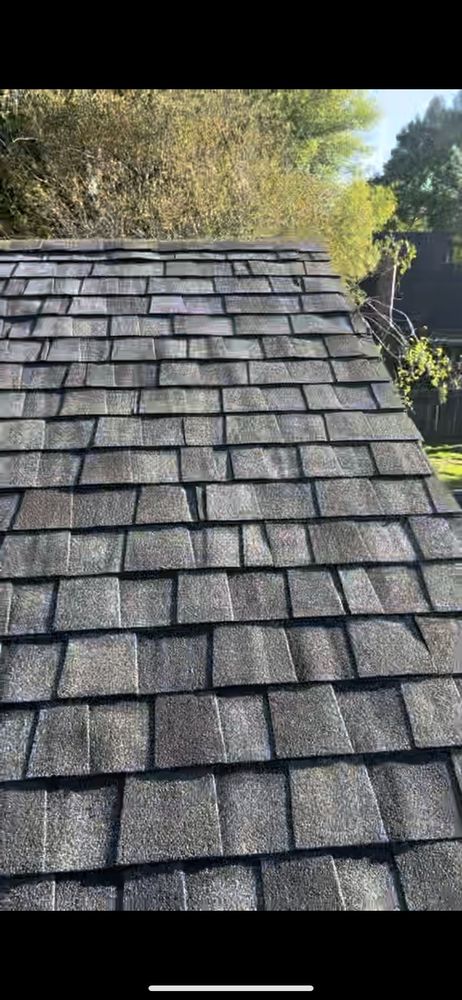 Slide of CGarcia Renovation